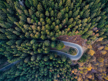 Overhead Aerial Top View Over Hairpin Turn Road Bend In Countryside Autumn Pine Forest.Fall Orange,green,yellow,red Tree Woods.Mountain Curve Street Path Background.Straight-down Above Perspective