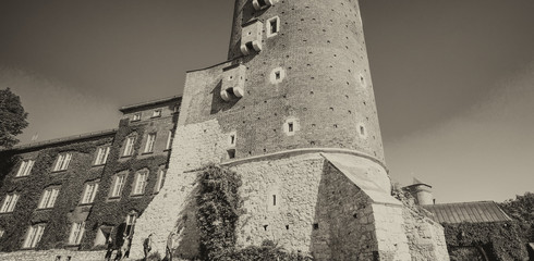 Wall Mural - Wavel Castle, Krakow, Poland