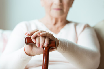 Wall Mural - Elder holds hands on walking stick