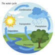 Water Cycle. Vector schematic representation of the water cycle in nature. Illustration of diagram water cycle. Cycle water in nature environment.