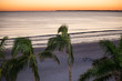 palmen am strand nach sonnenuntergang