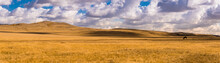 Wide Panorama Of Beautiful Autumn Field. Majestic Open Space Under Dramatic Clouds. Kazakh Steppe..Horse On A Pasture As Small Detail.