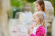© MNStudio - Cute little girl watching animals at the zoo on warm and sunny summer day. Child watching zoo animals through the window.