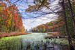 Autumn View through the trees of a Chesapeake Bay lake