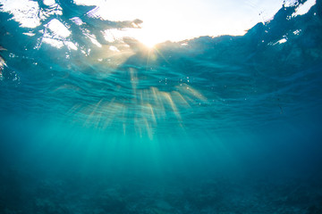 Wall Mural - abstract underwater surface, water background with ripples and sunbeams