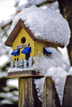 Snow Covered Bird House