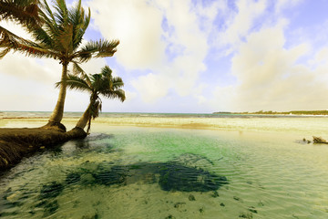 Wall Mural - Caribbean Island paradise.