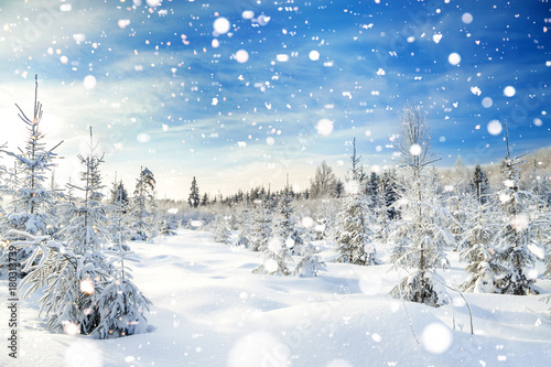 winter landscape with the forest  and blue sky