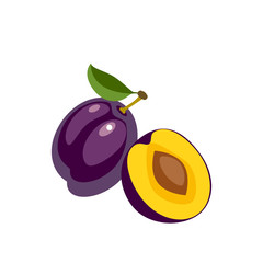 Wall Mural - Summer fruits for healthy lifestyle. Violet plum, whole fruit and half. Vector illustration cartoon flat icon isolated on white.