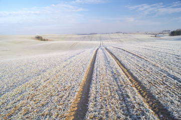 Wall Mural - winter panorama of fields, blue sky, frosted field