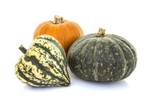 Pumpkins And Gourds On A White Background