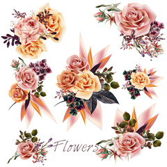 Fototapete - Big collection of vector roses and leafs for design