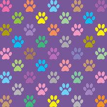 Colorful Puppy Paws Pattern On Purple Background
