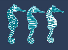 Decorative Hand-drawn Pattern With Sea Horse In Scandinavian Style