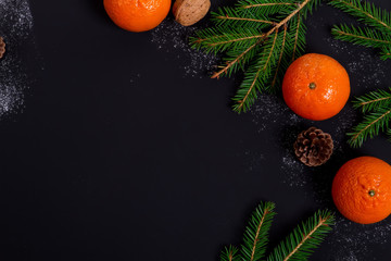 Wall Mural - Orange tangerines with spruce branches on a black