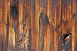 verbranntes Holz
