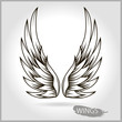 Two vector wings on a gray background