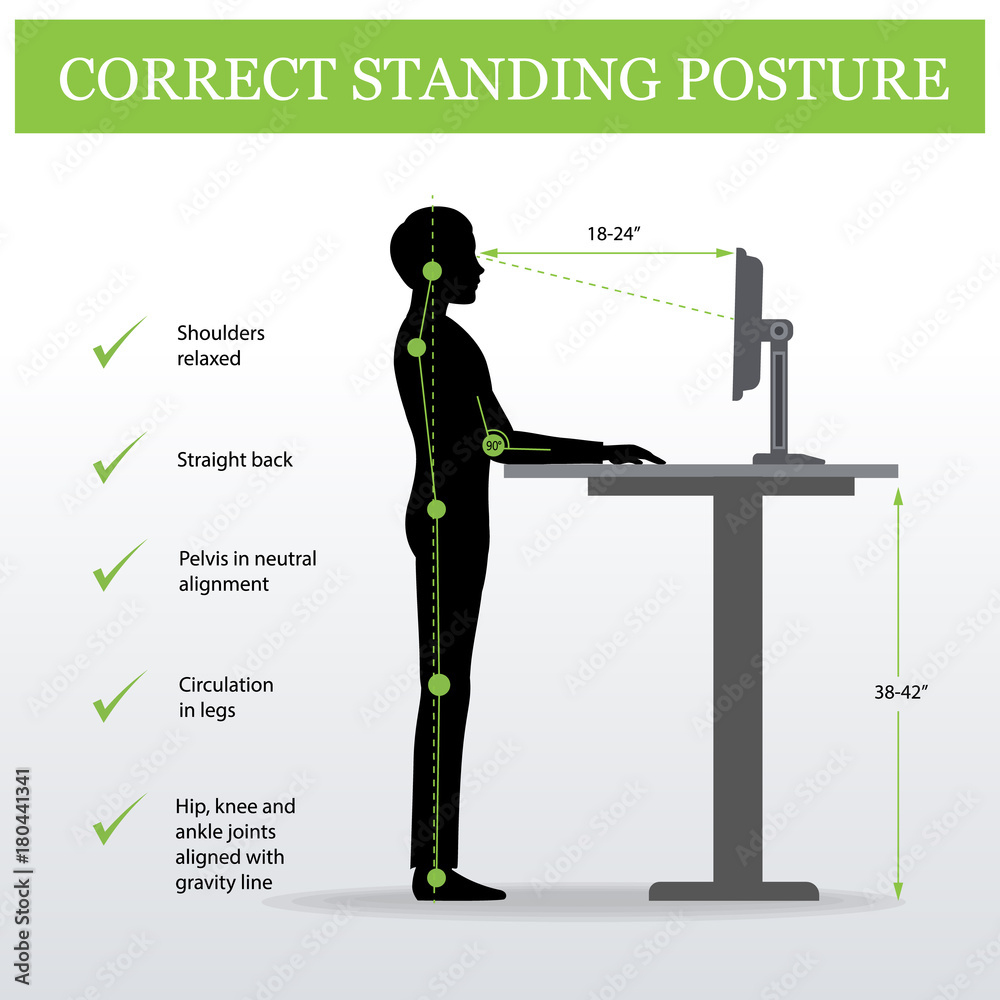 ergonomic. Correct standing posture on height adjustable desk or table ...