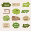 natural and organic green banner or label design. farm fresh product element.