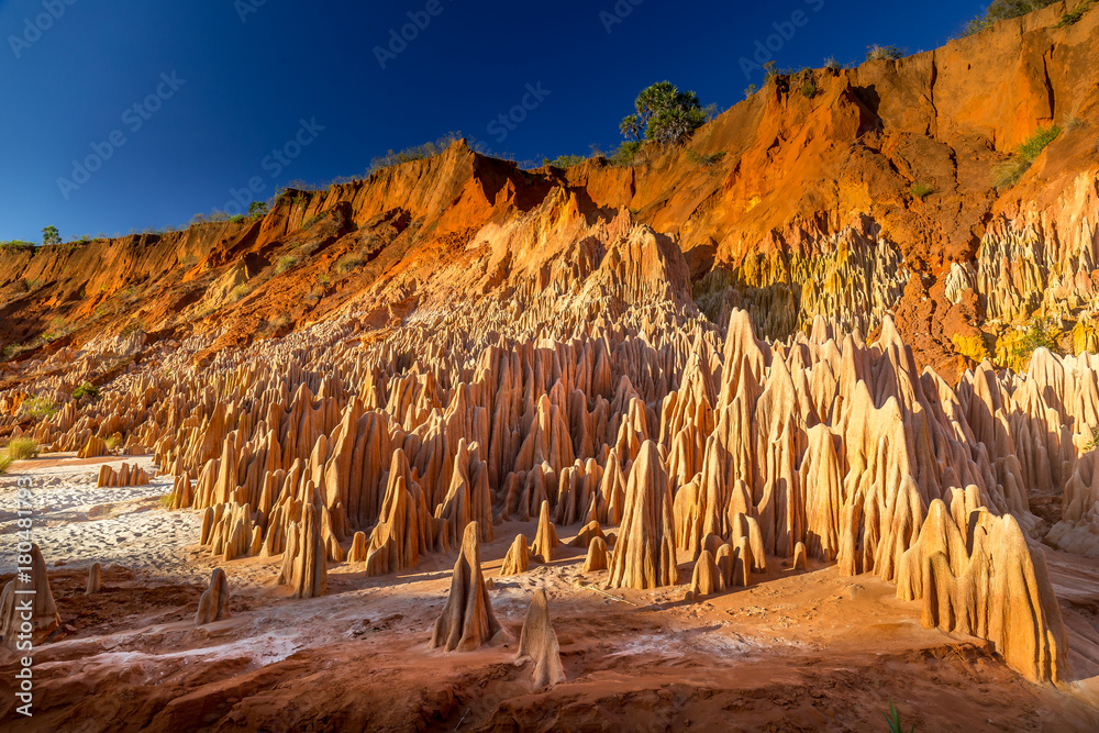 The Tsingy Rouge (Red Tsingy) in the region of Diana in northern Madagascar. - obrazy, fototapety, plakaty 