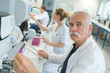 © auremar - senior doctor examines a medical record in the hospital room