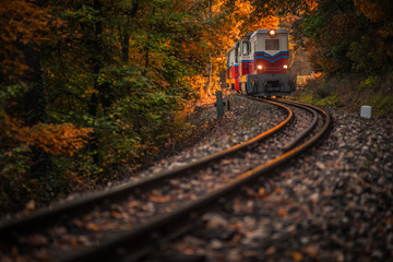 Budapest, Hungary - Beautiful autumn forest with foliage and old colorful train coming out of tunnel in Hungarian woods at sunset