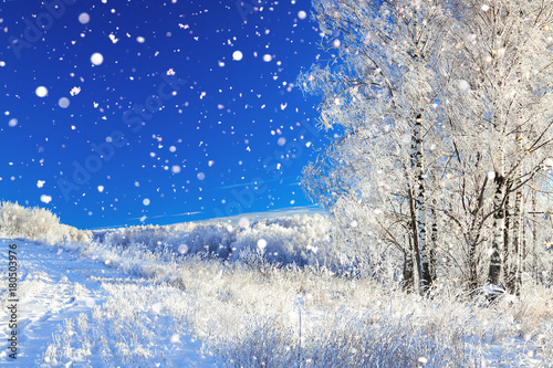 rural winter landscape a with blue sky, a field and forest