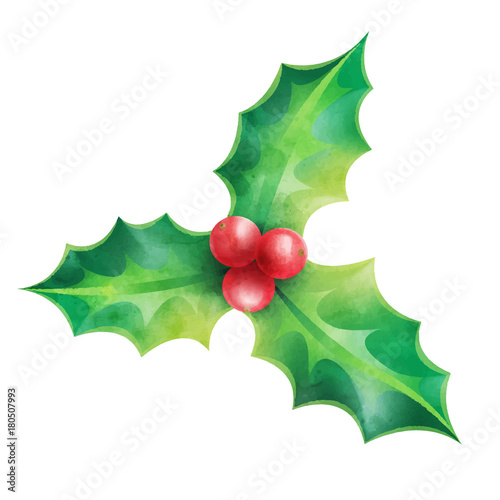 Fotografie, Obraz Christmas ornament, holly vector illustration isolated on white background for d