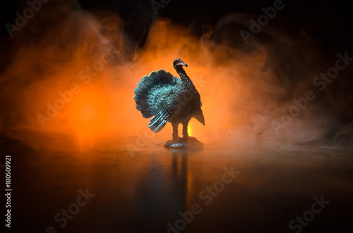 Cuadros en Lienzo Statue of Turkey Tom strutting his stuff with red wattles and blue/white head on a smoke toned dark background