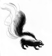 Stinky skunk
