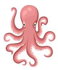 Wall Mural - Red octopus cartoon character. Cute octopus flat vector isolated on white background. Aquatic fauna. Octopus icon. Animal illustration for zoo ad, nature concept, children book illustrating.