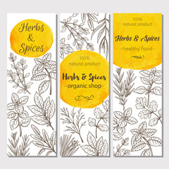 Wall Mural - sketch herbs and spices