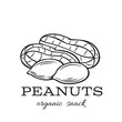 hand drawn peanuts