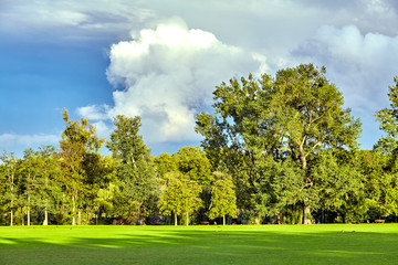 Wall Mural - Green landscape. the green nature. nature landscape