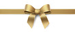 Golden silk ribbon with gold border - horizontal