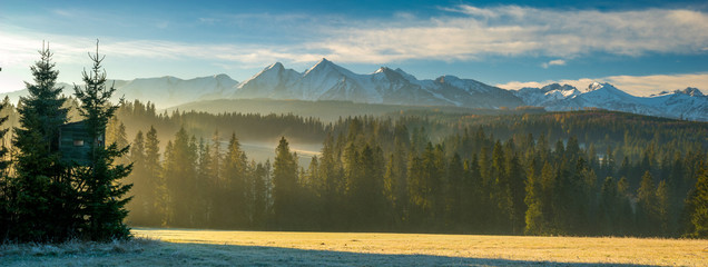 Wall Mural - autumn panorama of the high tatras