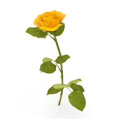 Wall Mural - Single beautiful yellow rose isolated on white. 3D illustration