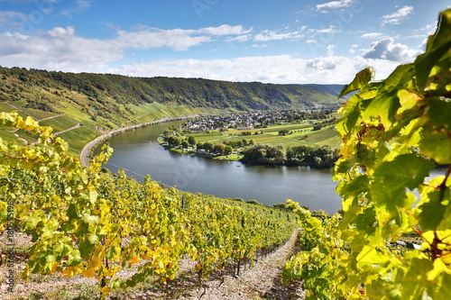 Weinberge an der Mosel kaufen Sie dieses Foto und finden Sie ähnliche