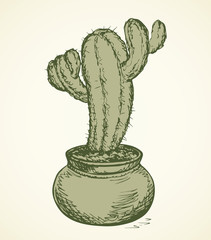 Poster - Cactus. Vector drawing