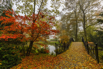 Wall Mural - Scenic view of misty autumn landscape with beautiful old bridge in the garden with red maple foliage.