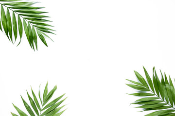 Poster - green palm leaf branches on white background. flat lay, top view