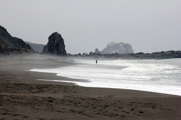 Goat Rock Beach -  northwestern Sonoma County, California,  is the mouth of the Russian River, and the southern end of this crescent shaped expanse is the massive Goat. Seagull, Seal. 