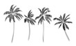 Group of palm trees vector silhouettes