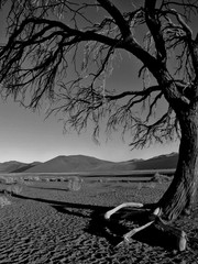 Wall Mural - Namibia