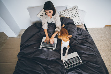 Wall Mural - Top view, over head shot of cute pretty young woman, student or business employee works remotely from home, sits in bed under covers and blanket, comfortable works on laptop with best friend puppy dog