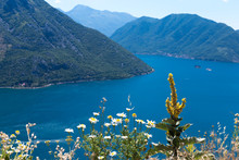 Picture-postcard View Of Coastline Of The Boka-Kotor Bay, Montenegro