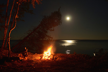 Wall Mural - Big night bonfire on the riverbank in the forest clearing, flames, sparks and fireplace.