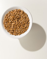 Wheat cereal grain. Grains in a bowl. Shadow over white table.