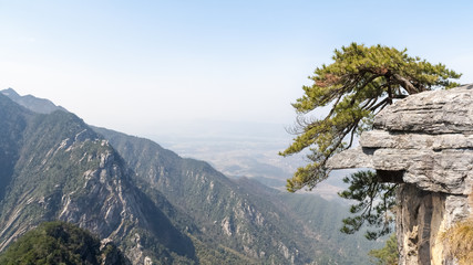 Sticker - mount lushan landscape