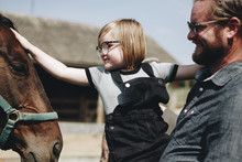 Little Girl Petting A Horse